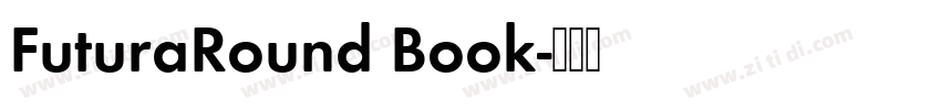 FuturaRound Book字体转换